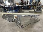 Titan Industries Incline Conveyor